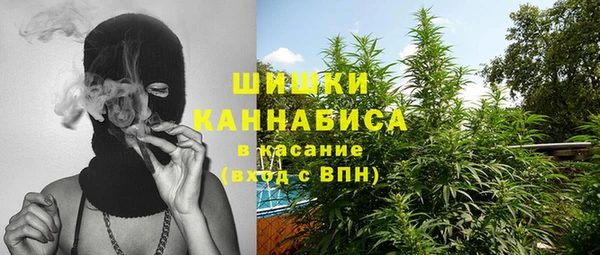 индика Алзамай