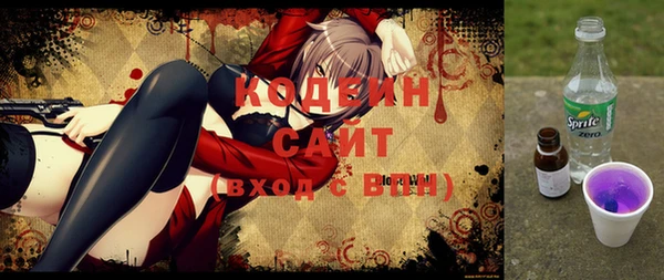 индика Алзамай