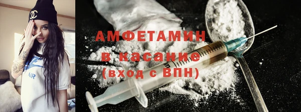 индика Алзамай